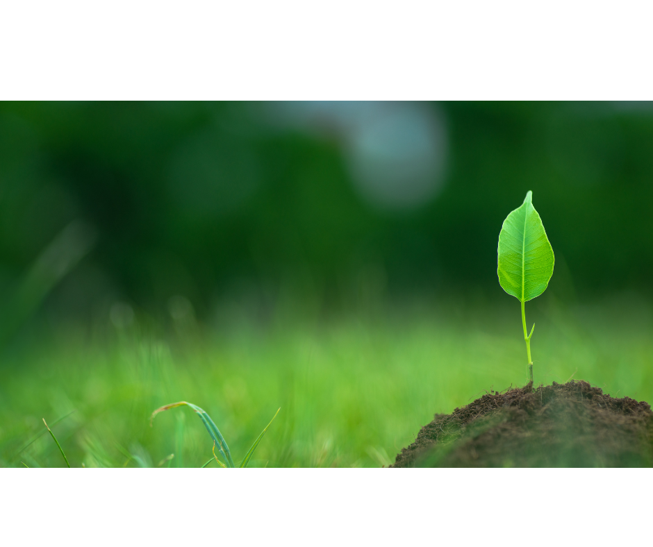 today-is-the-day-start-your-decarbonisation-journey